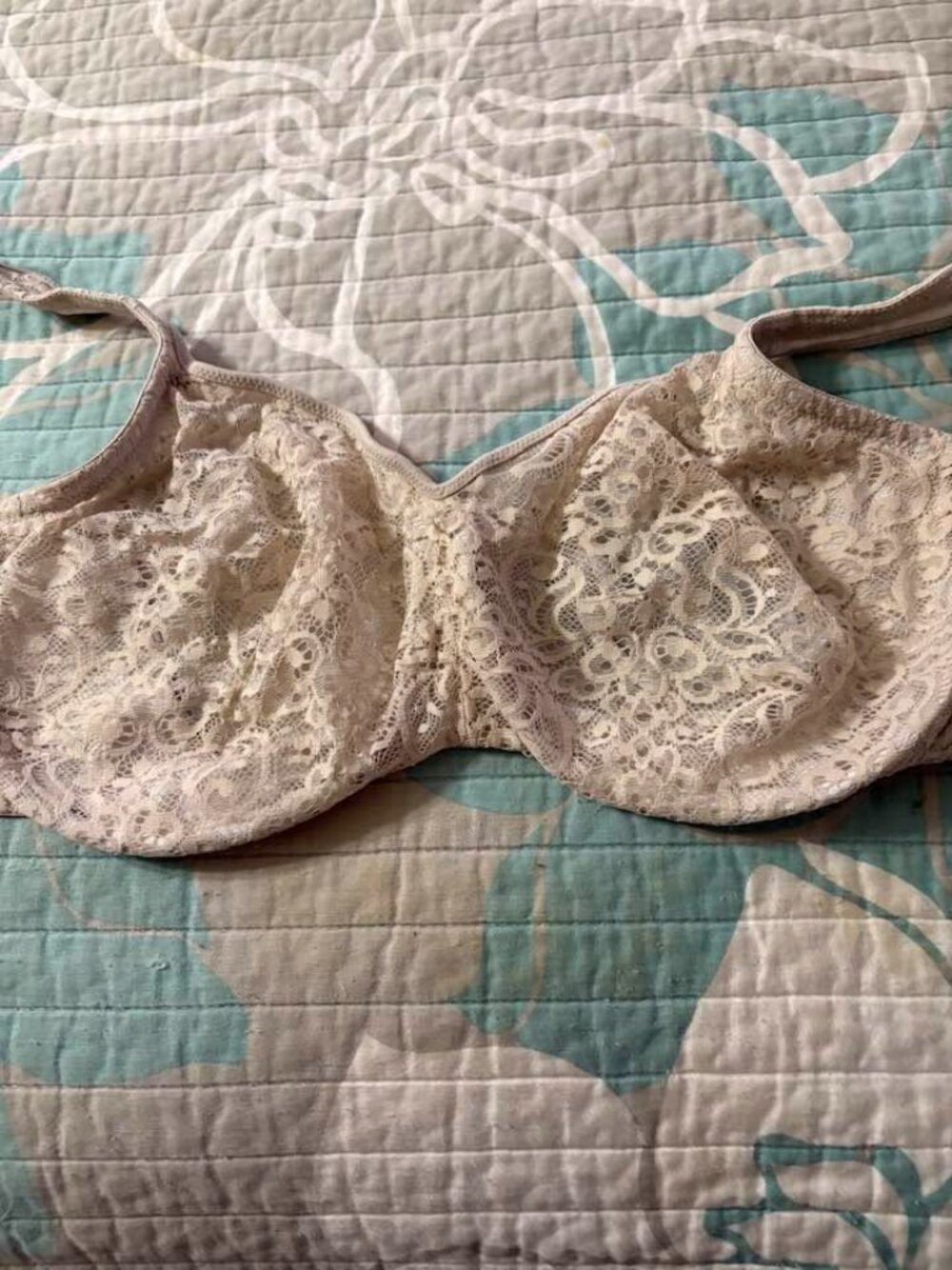 Lilyette Bra By Bali